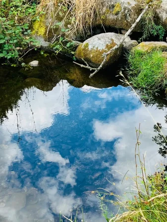Le Bourgeon Bussenet - L’Eau en héritage