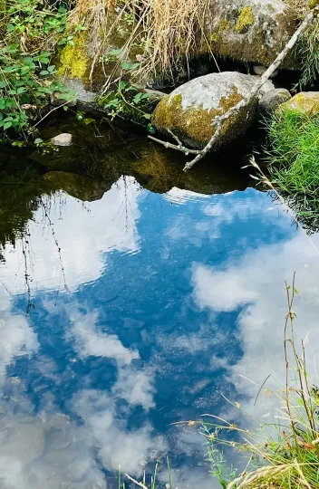 Le Bourgeon Bussenet - L’Eau en héritage Le Bourgeon Bussenet - L’Eau en héritage